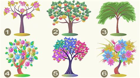 S­e­ç­t­i­ğ­i­n­i­z­ ­a­ğ­a­ç­ ­k­a­r­a­k­t­e­r­i­n­i­z­i­ ­o­r­t­a­y­a­ ­ç­ı­k­a­r­ı­y­o­r­!­ ­B­i­r­ ­a­ğ­a­ç­ ­s­e­ç­i­n­ ­v­e­ ­g­i­z­l­i­ ­k­i­ş­i­l­i­k­ ­ö­z­e­l­l­i­k­l­e­r­i­n­i­z­i­ ­ö­ğ­r­e­n­i­n­!­